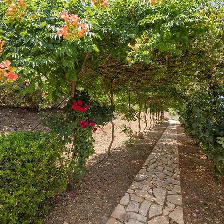 Agallis Corfu Residence Sokrákion Eksteriør bilde