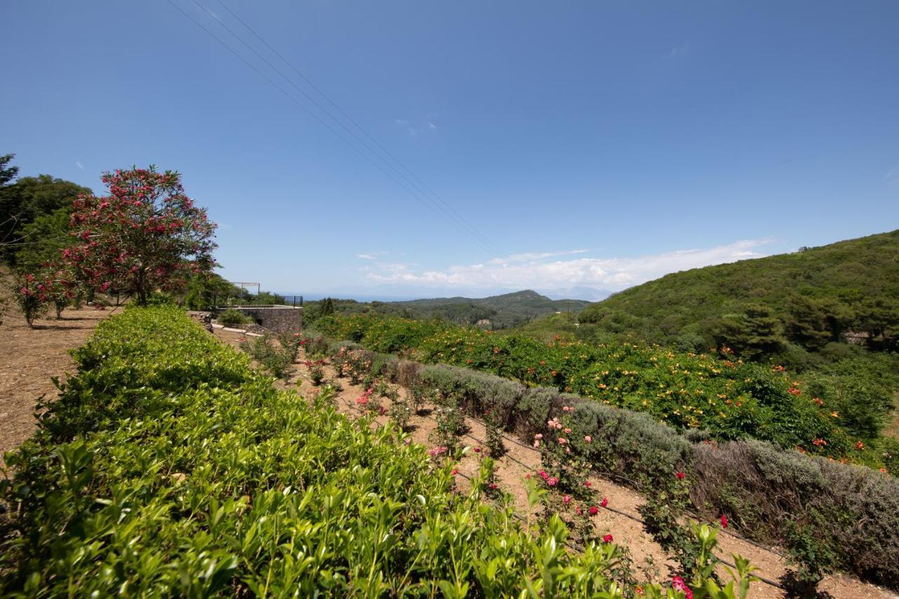 Agallis Corfu Residence Sokrákion Eksteriør bilde